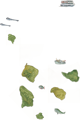 other isles and more aquatic life